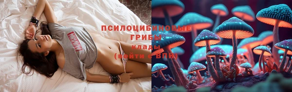 эйфоретик Инта