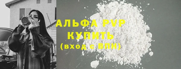 эйфоретик Инта