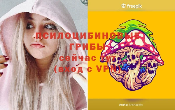 эйфоретик Инта