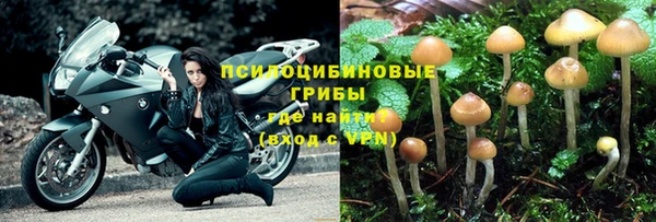 эйфоретик Инта
