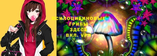 эйфоретик Инта