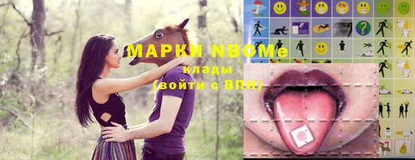 эйфоретик Инта